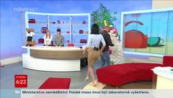 Obrázek